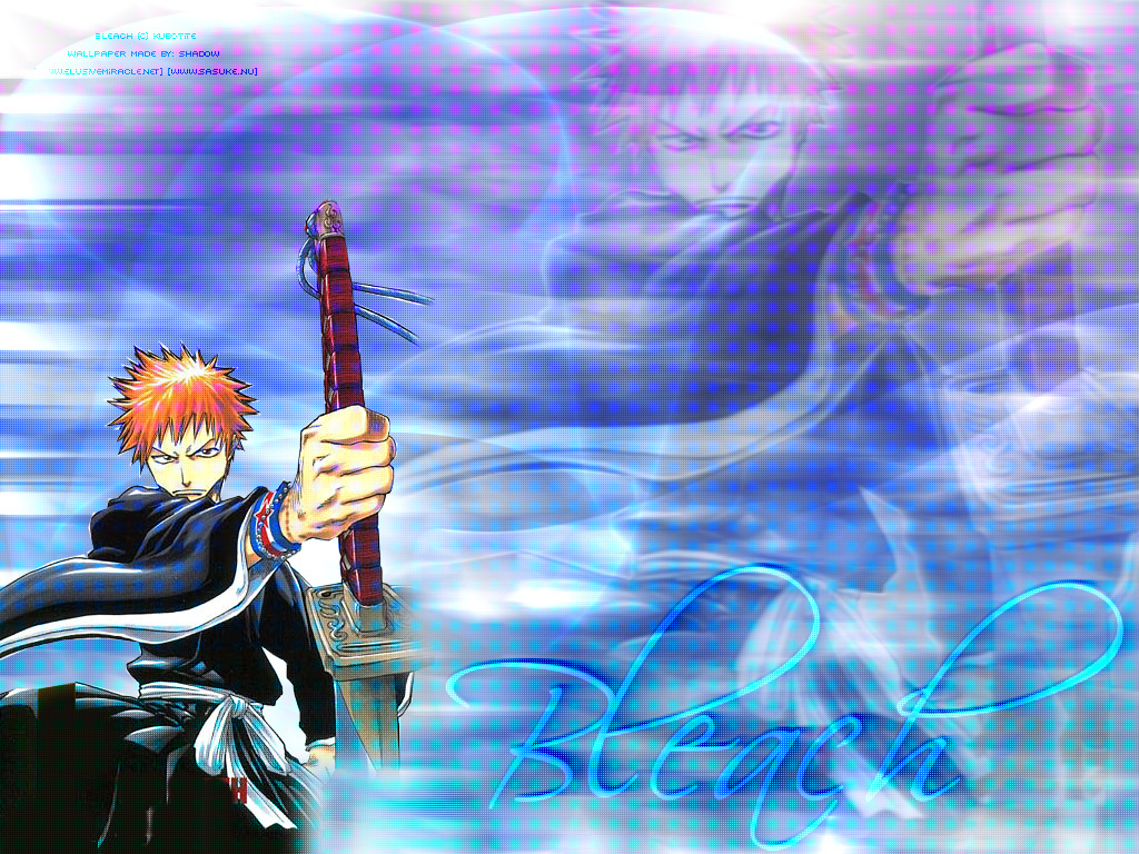 Otaku Gallery  / Anime e Manga / Bleach / Wallpapers / 001.jpg